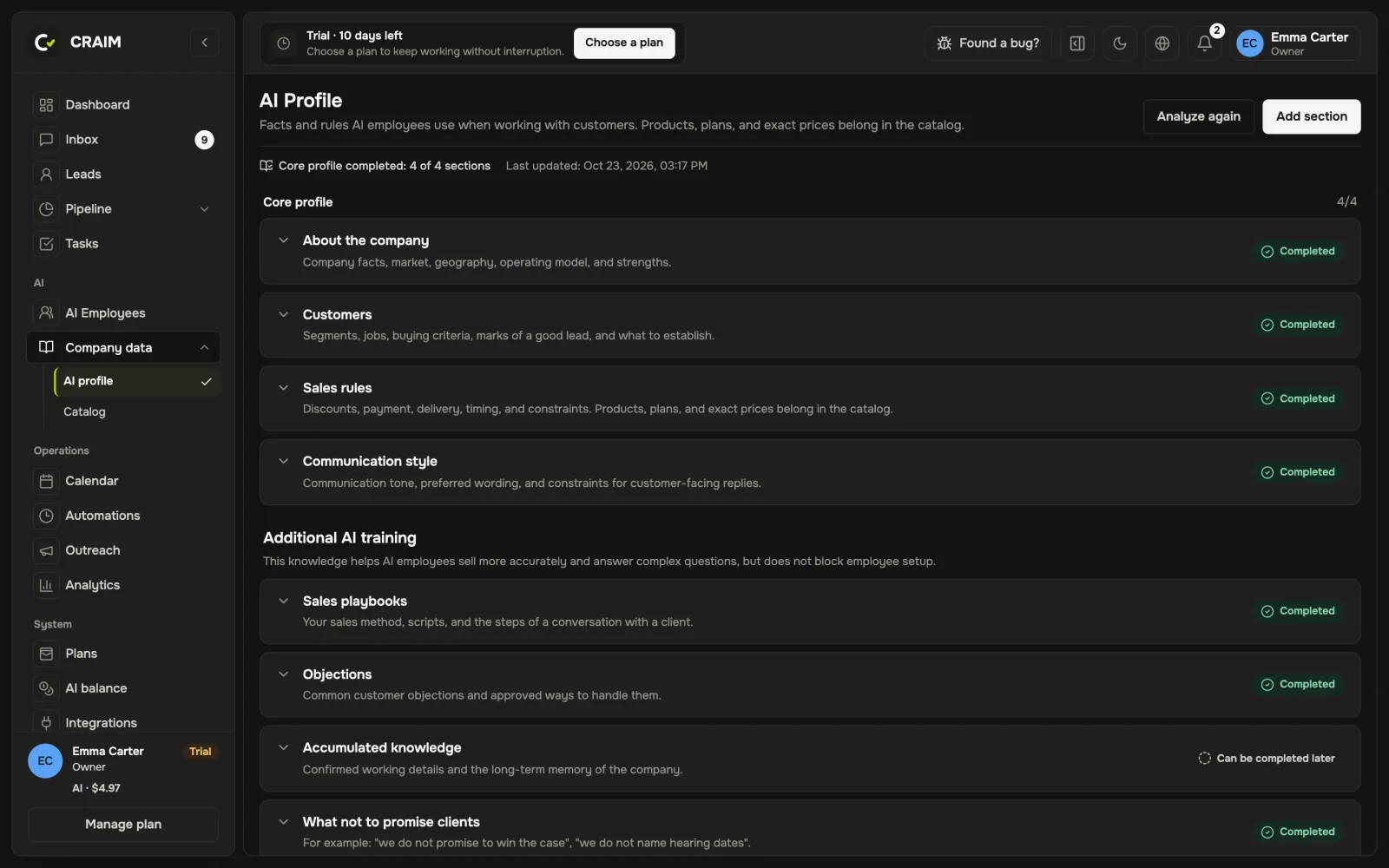 The AI profile with its sections